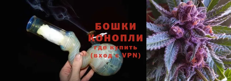 Шишки марихуана OG Kush  Верея 